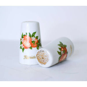 Vintage Florida Orange Salt & Pepper Shakers - Mid Century Porcelain